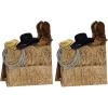 Beistle 3-D Western Centerpiece Party Accessory(Multicolored)