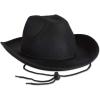 Beistle Felt Cowboy Hats – Western Headwear Birthday, Photo Booth & Halloween Costume Accessories(Black Felt Cowboy Hat)