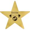 Beistle Glittered Gold Foil Star Cutouts(Multi Color)