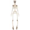 Beistle Halloween Plastic Skeleton Multicolor