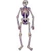 Beistle Halloween Sugar Skull Skeleton Jointed Cutout, 4.58′ – 1 Pc.