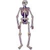 Beistle Jointed Day of the Dead Skeletons – 2-Pack Colorful 4′ 7″ One-Sided Cutouts with Articulated Joints for Día de los Muertos Decorations – Made in the USA