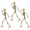 Beistle Profile Pete Jointed Skeletons, 3-Count, Posable Halloween Cutout Wall Decorations, Skeleton Figures for Haunted Houses, Spooky Party Decor, and Trick-or-Treat Events, 3′ 1″