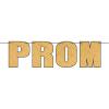 Beistle Prom Streamer