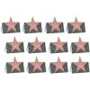 Beistle Star Place Cards(4¼”)