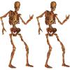 Beistled Gory Skeletons Photo Prop Backdrop, 6′ Tall, Set of 2- Halloween Party Wall Decoration, Spooky Zombie Cut Out