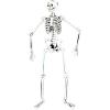 Skeleton 55”Glow Cardboard