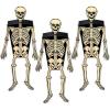 Skeleton Favor Boxes