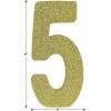 Beistle 3-D Number 60 Centerpiece, 8″ x 8″ x 1″- Gold Glittered Foam 60th Birthday Party Decoration, Milestone & Anniversary(Number 5)