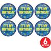 Beistle 6 Piece It’s My Birthday Pinback Button Badge Pins For Party Favors Supplies