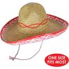 Beistle 60623 48-Pack Sombreros