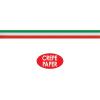 Beistle FR Red, White & Green Crepe Streamer(1 piece)