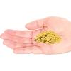 Beistle Fanci-Fetti Gold Dots