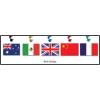Beistle International Flag Whirls 10 Piece, Multicolored(International Flag Whirls (10-Pack))