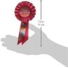 Beistle It’s My Birthday Rosette in Red