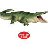 Beistle Jointed Crocodile Decoration, One-Sided Printed Reptile Cutout Wall Décor for Australian, International, Zoo Animal Birthday or Mardi Gras Party Themes, 14″ x 3′ 4.25”