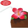 Beistle Plastic Coconut Cup(1 Count (Pack of 1))