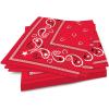 Beistle Red Bandana Luncheon Napkins 16 Count