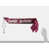 Beistle Sweet Sixteen Satin Sash – Magenta & Black Birthday Wearable for Teen Girl – One Size Fits Most Adults with Sewn Bottom – 16th B-Day Party Photo Prop or Gift Accessory – 33″ x 4″(1 piece)