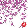Flamingos Confetti(6 piece)