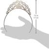 Glittered Tiara (silver) Party Accessory (1 count) (1/Pkg)