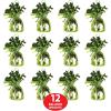 Metallic Wrapped Balloon Weight Pack of 12(Light Green)
