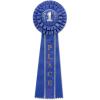 1st Place Deluxe Rosette