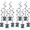 Beistle 10 Piece Over The Hill Party Decorations Hanging Swirls Whirls