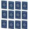 Beistle 12 Piece Fake Passports For Around The World Travel Theme Party Supplies and Favors, Made In USA Since 1900