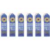 Beistle Grand Prize Winner Award Ribbons, 2″ x 8″, 6 Award Ribbons In Package