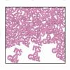 Beistle It’s a Girl Fanci-Fetti in Pink, Baby Shower Party Decorations, Mom to Be Pregnancy Announcement Party Supplies, .5 oz