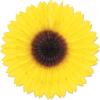 Beistle Sunflower Fan(1 piece)