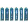 Beistle Terrific Award Ribbons, 2 by 8-Inch, 6-Pack,Multicolored