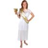Beistle Toga Set, One Size Fits Most White/Gold 16.8 x 8.8 x 0.8 inches