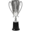 Beistle Trophy Cup Award