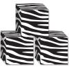 Beistle Zebra Print Favor Boxes(3 piece)