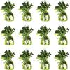 Metallic Wrapped Balloon Weight Pack of 12(Light Green)