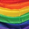 Beistle 4 FT Rainbow Bunting(Rainbow Fabric Bunting – A)