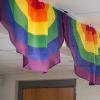 Beistle 4 FT Rainbow Bunting(Rainbow Fabric Bunting – B)