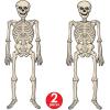 Beistle Jointed Vintage Halloween Skeletons Photo Props, 4.25′ Tall, Set of 2 – Holiday Wall Decoration, Spooky Bones Cut Outs