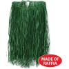 Beistle Extra Large Raffia Hula Skirt in Green, Summertime Tropical Island Tiki Party Accessory, Hawaiian Luau Celebration Halloween Costume Piece