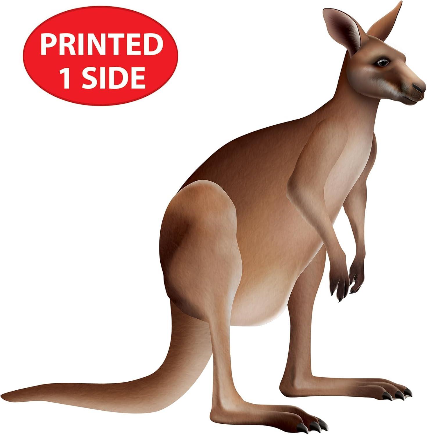 imageBeistle Jointed Kangaroo Decoration Australian Outback Party Supplies Classroom Wall Dcor Vacation Bible School Props Birthday Party Accent 315quot x 3075quot