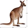 Beistle Jointed Kangaroo Decoration, Australian Outback Party Supplies, Classroom Wall Décor, Vacation Bible School Props, Birthday Party Accent, 31.5″ x 30.75″