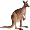 Beistle Jointed Kangaroo Decoration, Australian Outback Party Supplies, Classroom Wall Décor, Vacation Bible School Props, Birthday Party Accent, 31.5″ x 30.75″