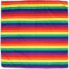 Beistle Rainbow Bandana