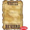 Beistle Western Wanted Sign Pack of 12