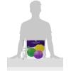 Beistle Paper Lanterns (Red/Blue/Green)(Golden-Yellow/Green/Purple)