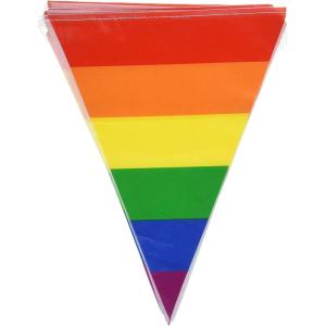 Beistle Rainbow Pennant Banner Party Accessory Pack of 3