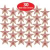 Beistle Mini “Star” Cutouts – 30-Count Double-Sided Cardstock Stars for Awards Night & Hollywood VIP Theme Parties – Customizable – Celebrity Event Decorations, 5″