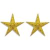 Beistle 24-Inch Gold Dimensional Foil Star(24-inch (Pack of 2))